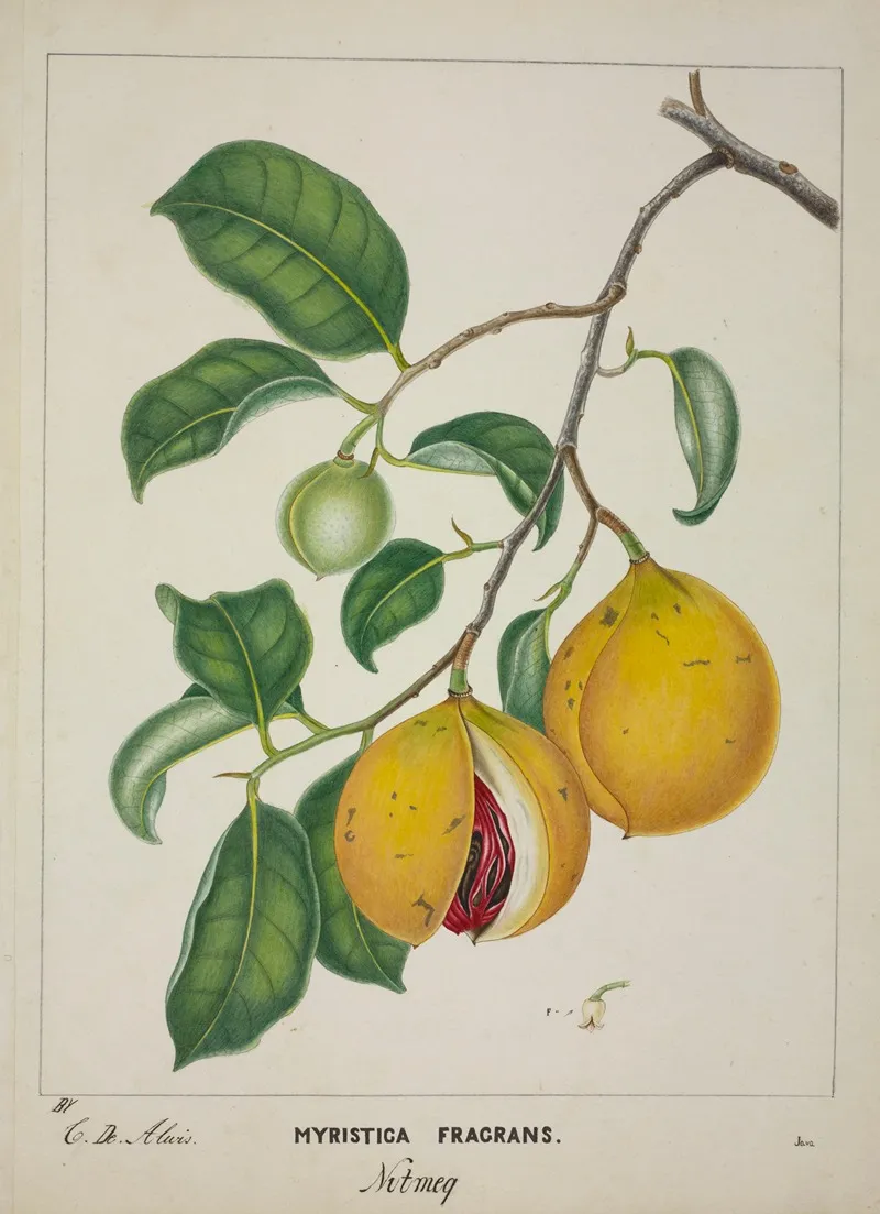 Mon Jardin A Ceylan Pl 117 Wall Art by George De Alwis - High-Resolution Digital Print