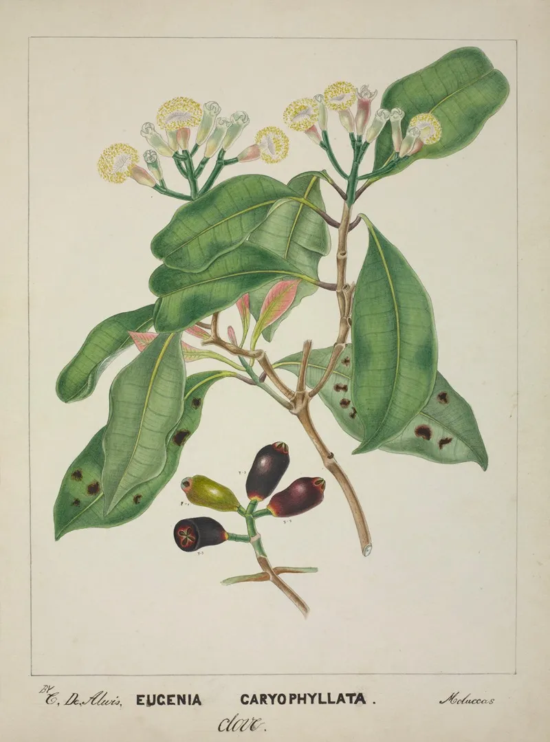 Mon Jardin A Ceylan Pl 119 Wall Art by George De Alwis - High-Resolution Digital Print