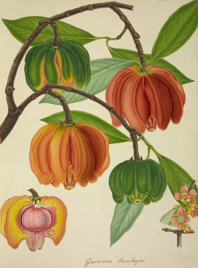 Mon Jardin A Ceylan Pl 129 Wall Art by George De Alwis - High-Resolution Digital Print