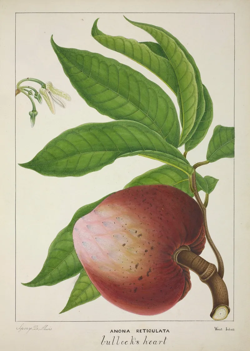 Mon Jardin A Ceylan Pl 132 Wall Art by George De Alwis - High-Resolution Digital Print