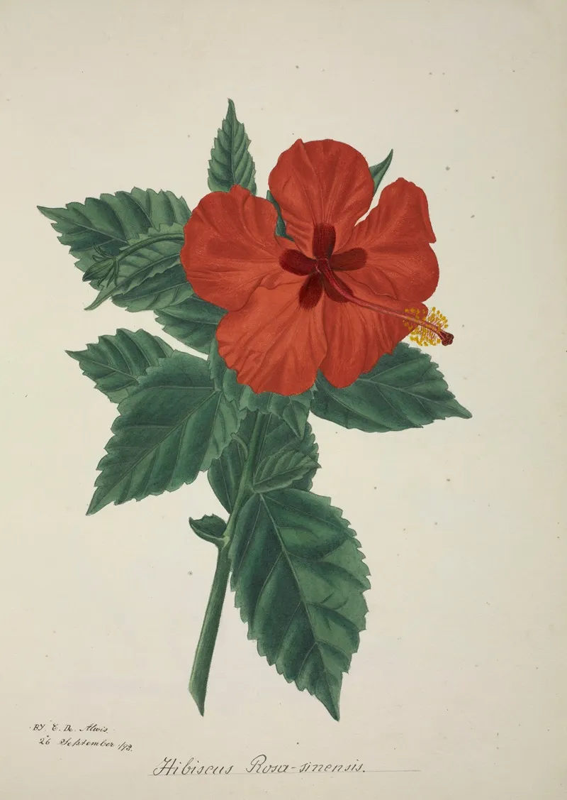 Mon Jardin A Ceylan Pl 158 Wall Art by George De Alwis - High-Resolution Digital Print