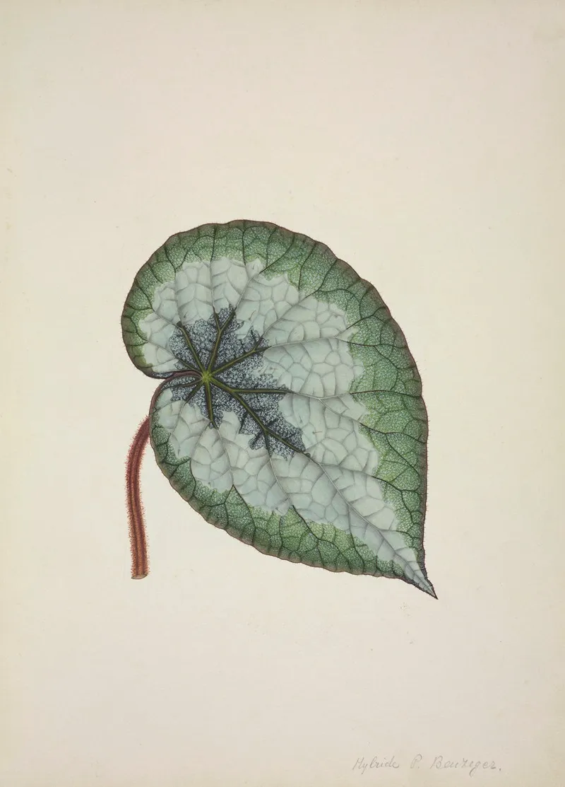 Mon Jardin A Ceylan Pl 166 Wall Art by George De Alwis - High-Resolution Digital Print