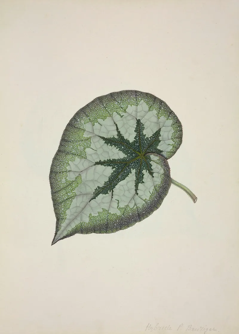 Mon Jardin A Ceylan Pl 167 Wall Art by George De Alwis - High-Resolution Digital Print