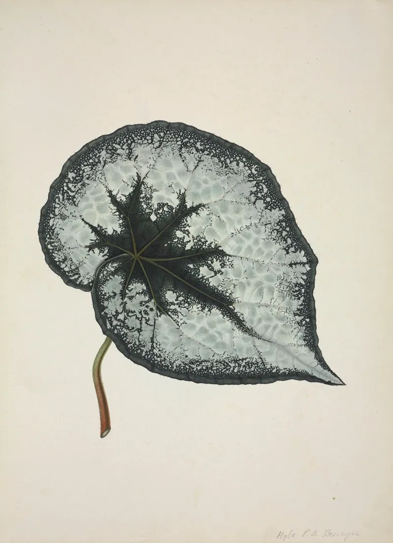 Mon Jardin A Ceylan Pl 168 Wall Art by George De Alwis - High-Resolution Digital Print
