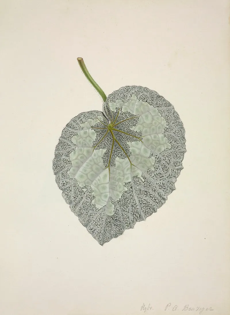 Mon Jardin A Ceylan Pl 169 Wall Art by George De Alwis - High-Resolution Digital Print