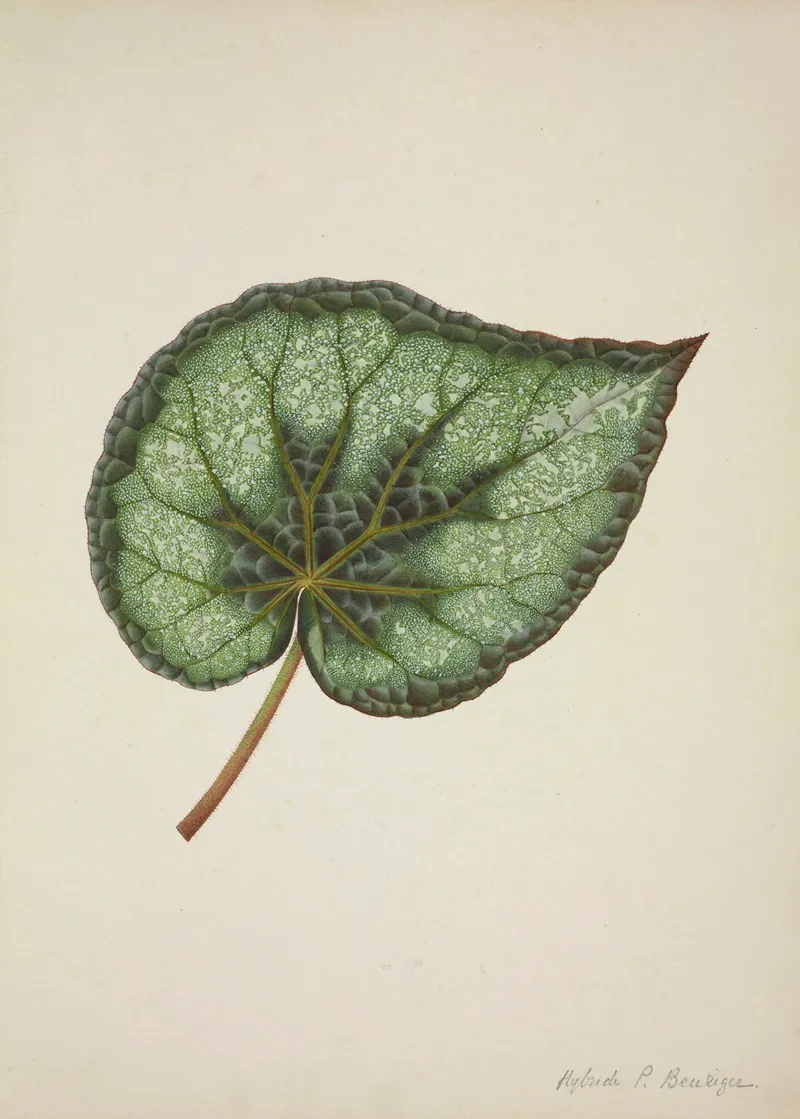 Mon Jardin A Ceylan Pl 172 Wall Art by George De Alwis - High-Resolution Digital Print