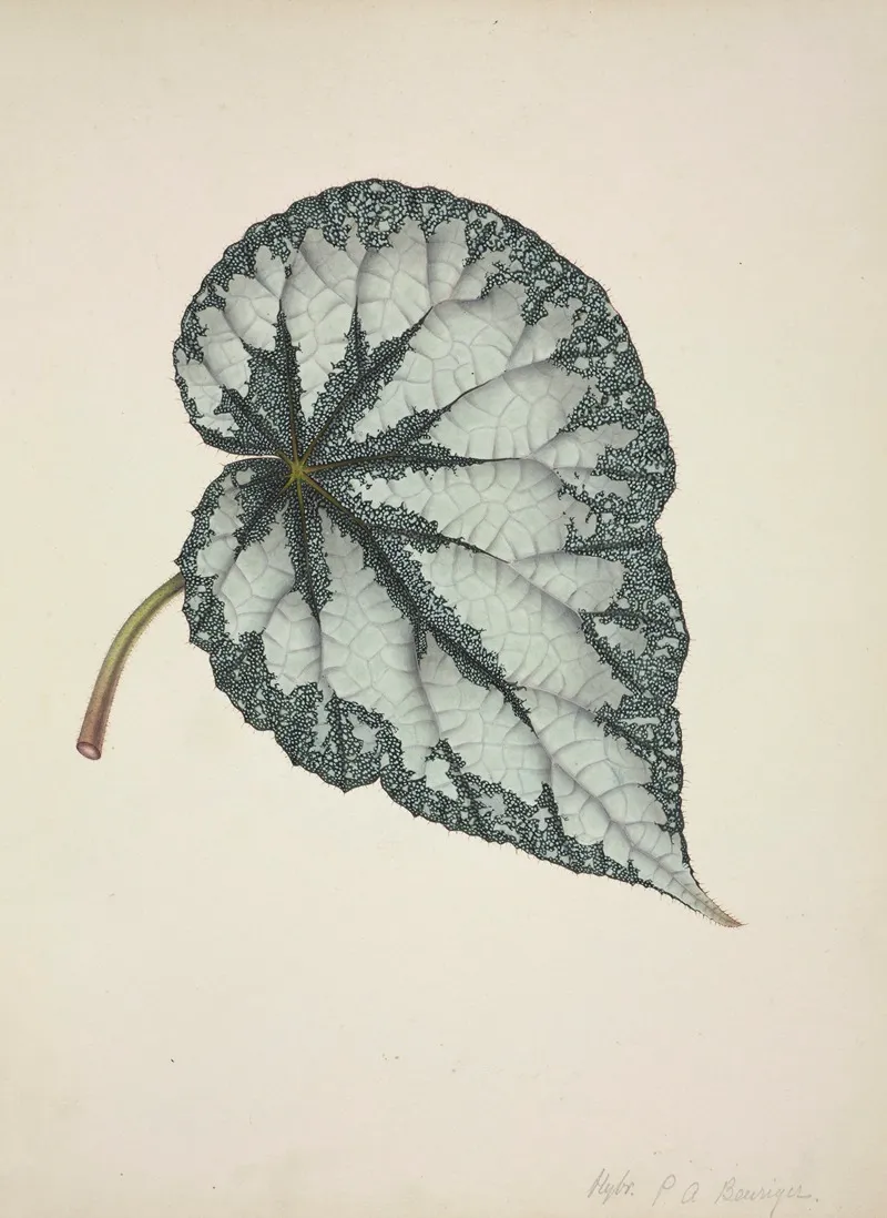 Mon Jardin A Ceylan Pl 177 Wall Art by George De Alwis - High-Resolution Digital Print