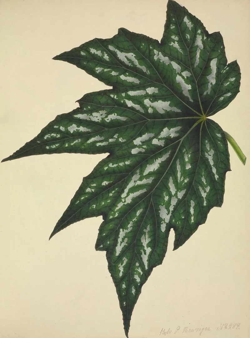 Mon Jardin A Ceylan Pl 180 Wall Art by George De Alwis - High-Resolution Digital Print