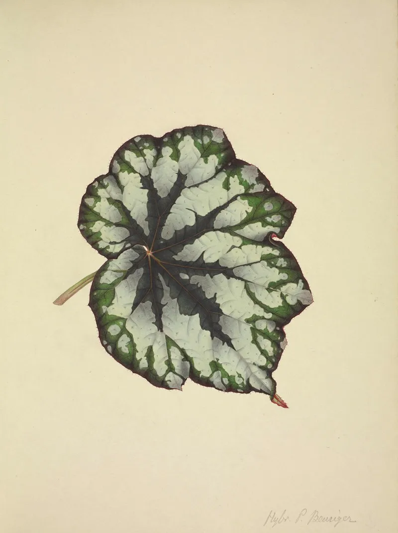 Mon Jardin A Ceylan Pl 182 Wall Art by George De Alwis - High-Resolution Digital Print