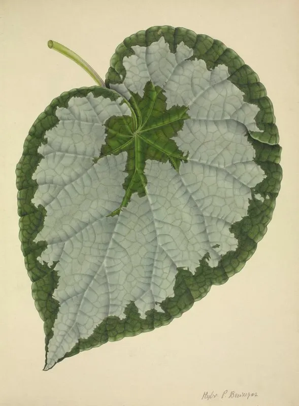 Mon Jardin A Ceylan Pl 186 Wall Art by George De Alwis - High-Resolution Digital Print