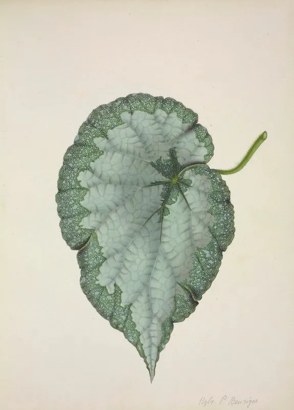 Mon Jardin A Ceylan Pl 192 Wall Art by George De Alwis - High-Resolution Digital Print