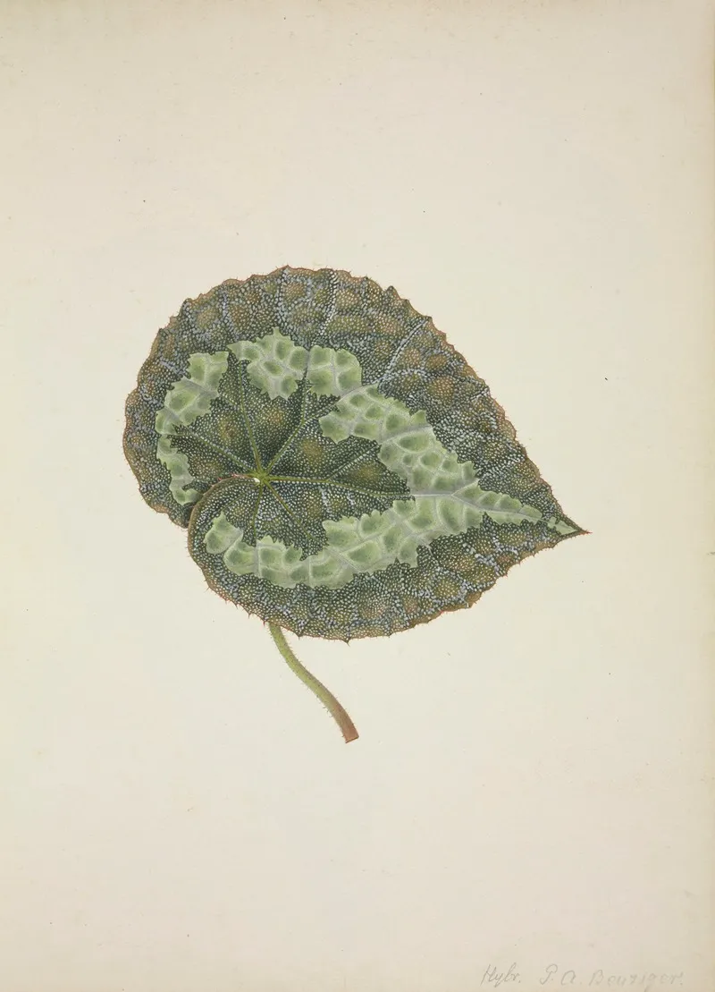 Mon Jardin A Ceylan Pl 197 Wall Art by George De Alwis - High-Resolution Digital Print