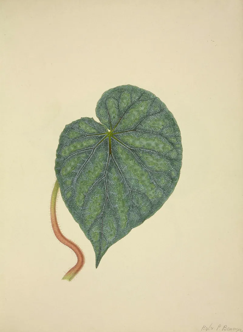 Mon Jardin A Ceylan Pl 204 Wall Art by George De Alwis - High-Resolution Digital Print