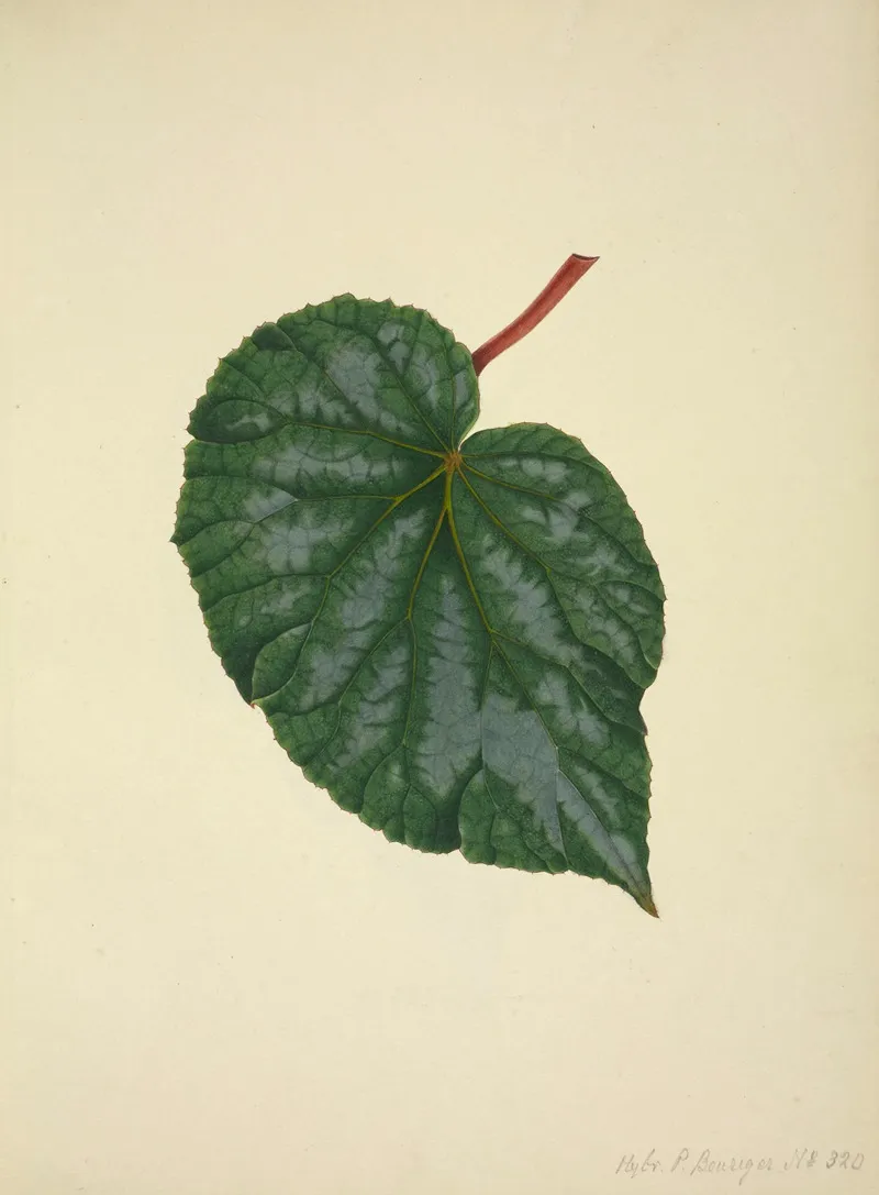 Mon Jardin A Ceylan Pl 214 Wall Art by George De Alwis - High-Resolution Digital Print
