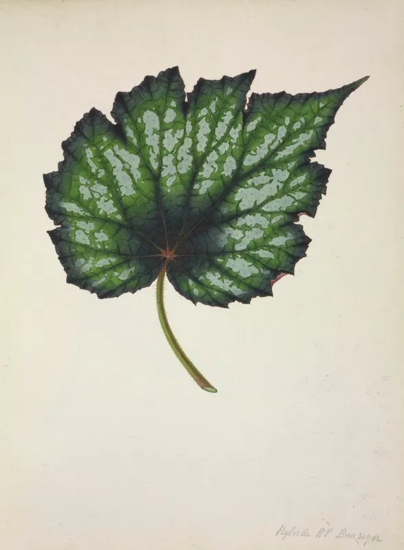 Mon Jardin A Ceylan Pl 216 Wall Art by George De Alwis - High-Resolution Digital Print