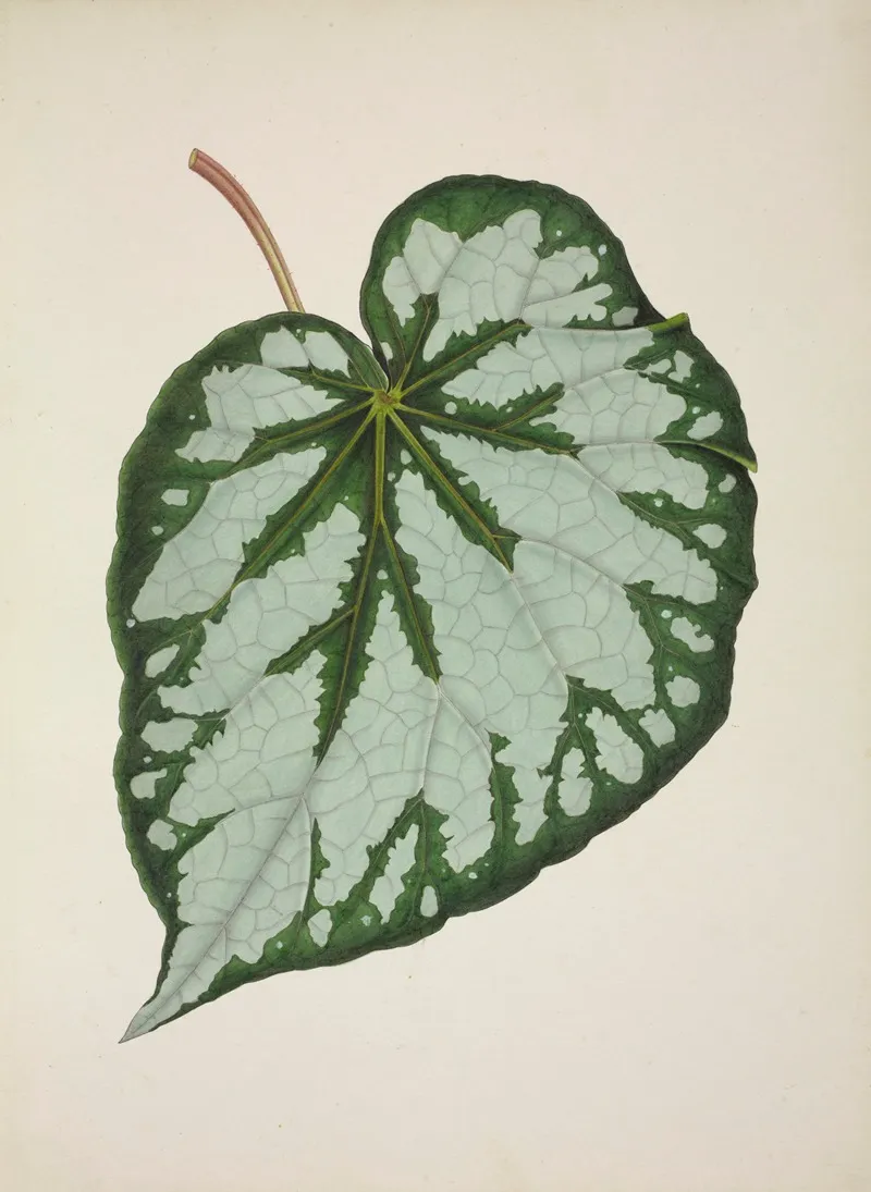 Mon Jardin A Ceylan Pl 228 Wall Art by George De Alwis - High-Resolution Digital Print
