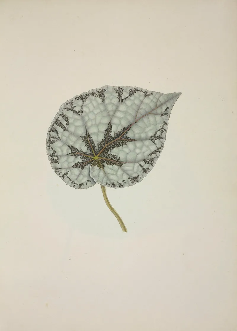 Mon Jardin A Ceylan Pl 229 Wall Art by George De Alwis - High-Resolution Digital Print
