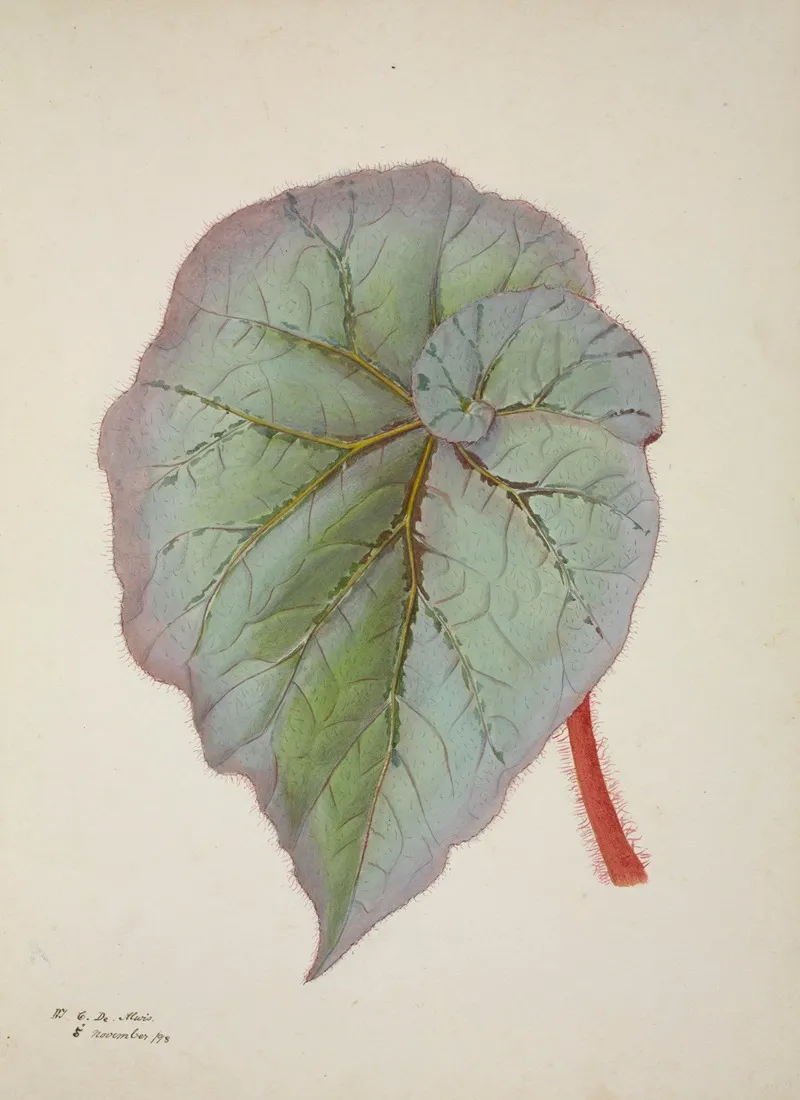 Mon Jardin A Ceylan Pl 232 Wall Art by George De Alwis - High-Resolution Digital Print