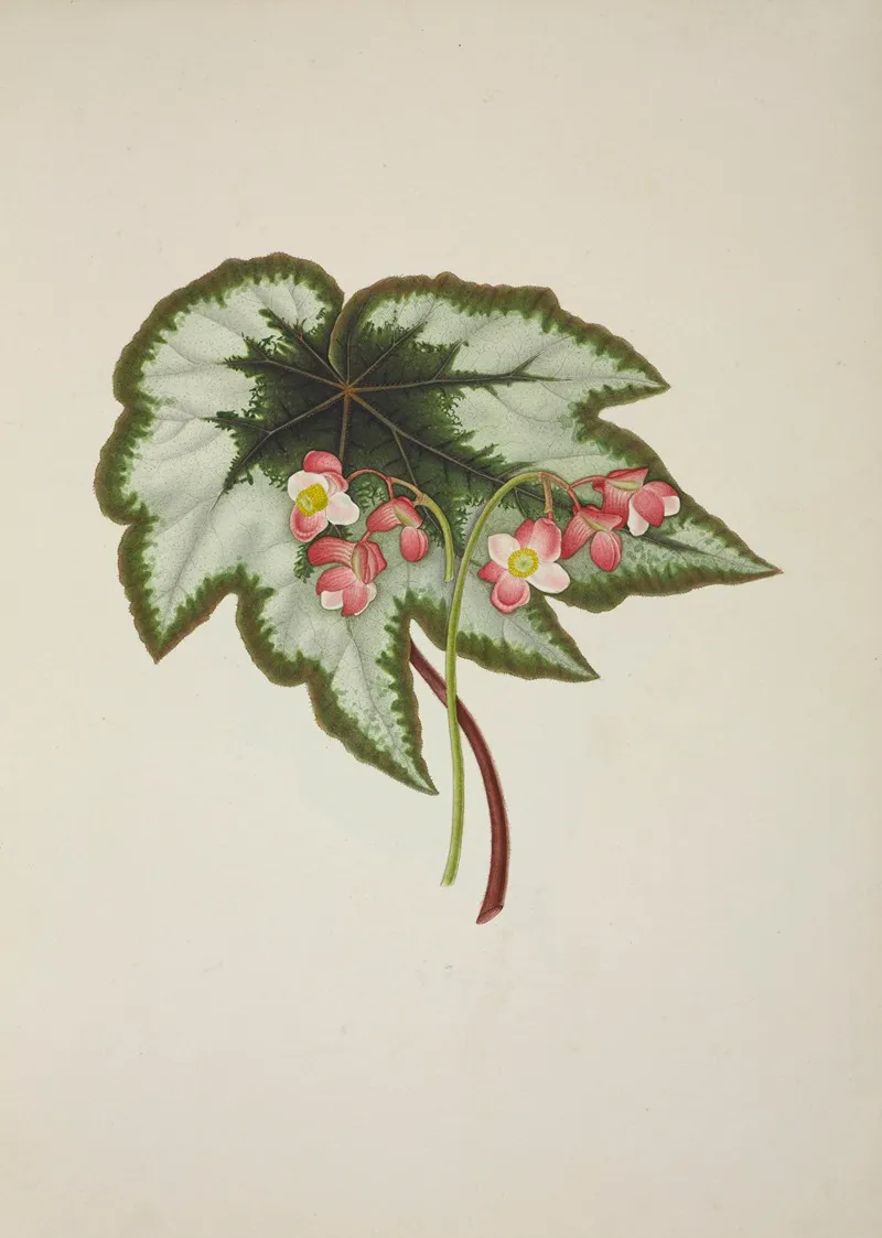 Mon Jardin A Ceylan Pl 235 Wall Art by George De Alwis - High-Resolution Digital Print
