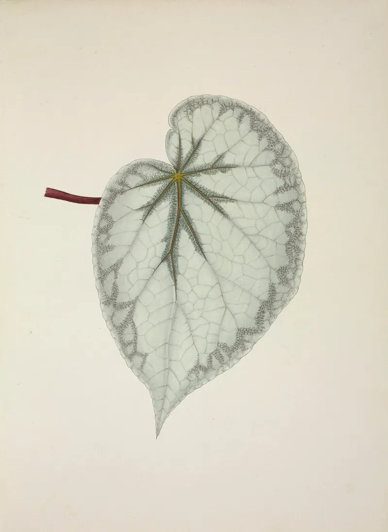 Mon Jardin A Ceylan Pl 238 Wall Art by George De Alwis - High-Resolution Digital Print