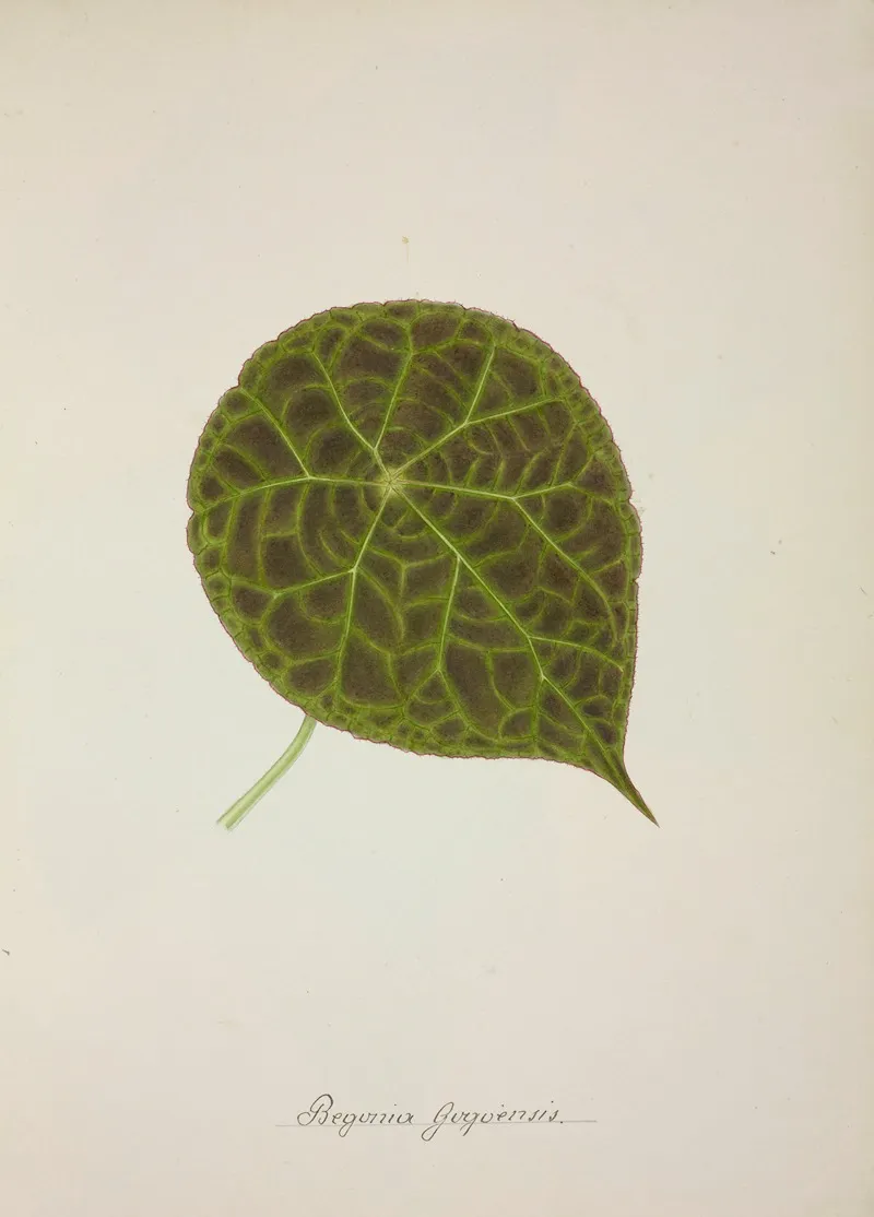 Mon Jardin A Ceylan Pl 239 Wall Art by George De Alwis - High-Resolution Digital Print