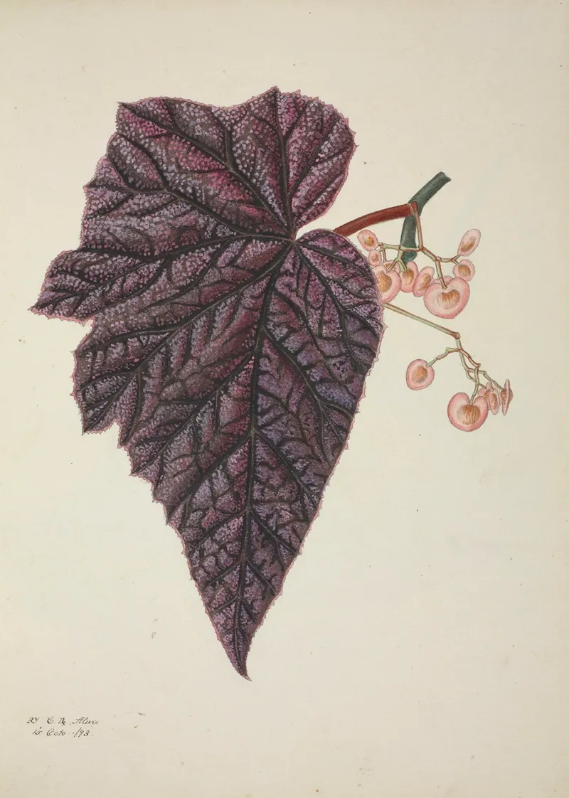 Mon Jardin A Ceylan Pl 243 Wall Art by George De Alwis - High-Resolution Digital Print