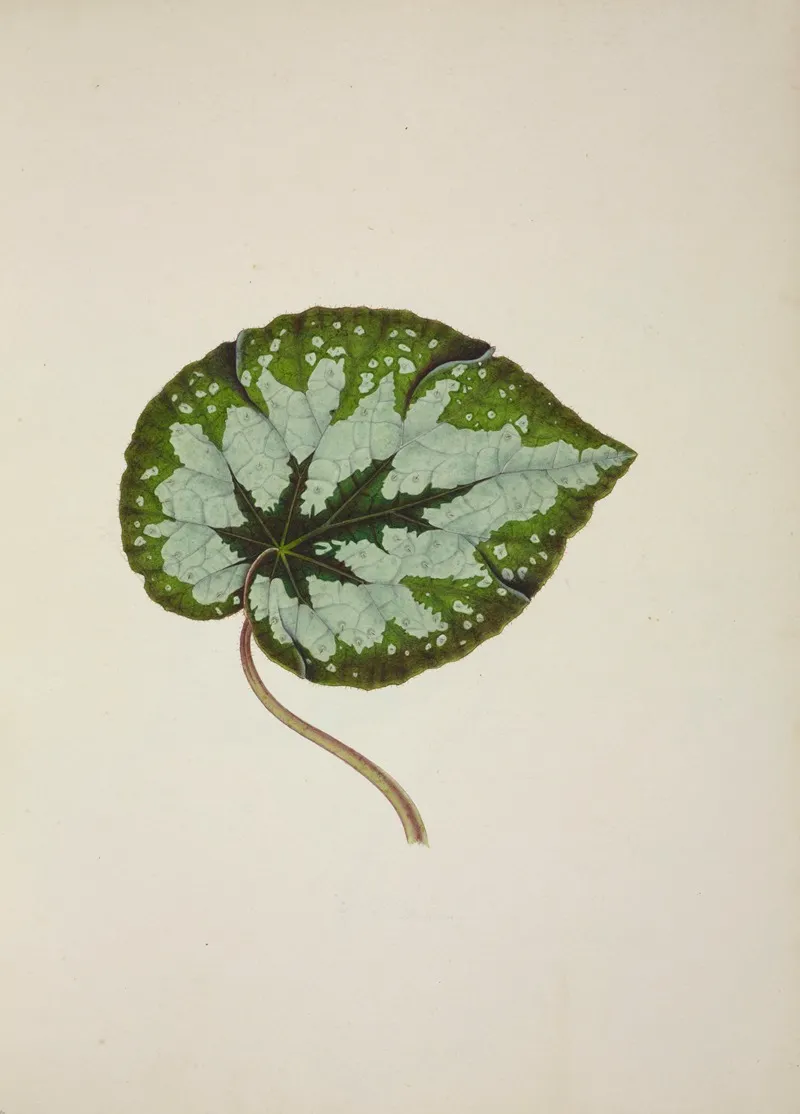 Mon Jardin A Ceylan Pl 245 Wall Art by George De Alwis - High-Resolution Digital Print
