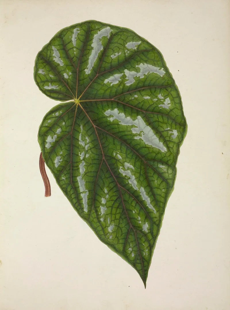 Mon Jardin A Ceylan Pl 248 Wall Art by George De Alwis - High-Resolution Digital Print