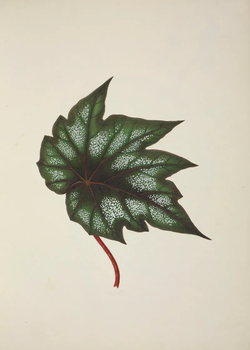Mon Jardin A Ceylan Pl 251 Wall Art by George De Alwis - High-Resolution Digital Print