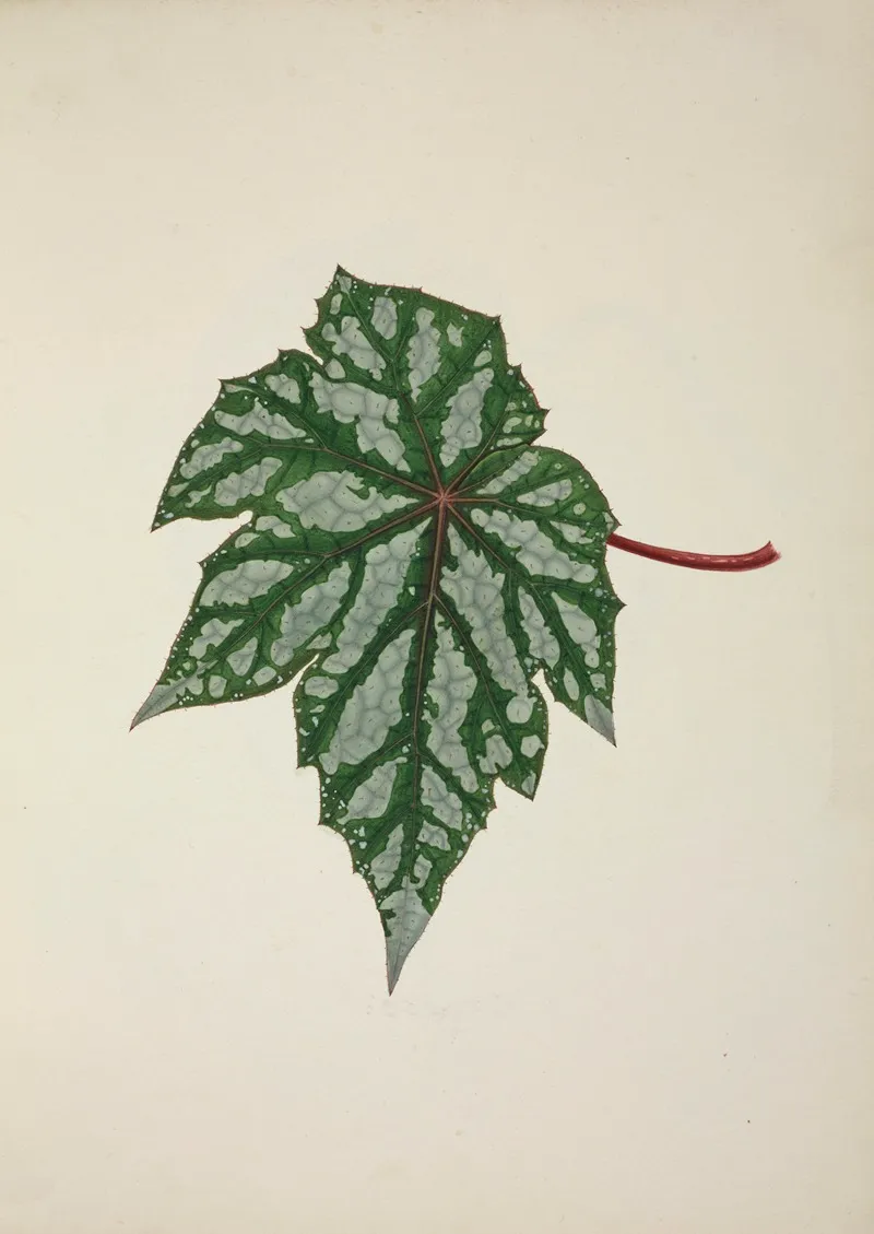 Mon Jardin A Ceylan Pl 253 Wall Art by George De Alwis - High-Resolution Digital Print