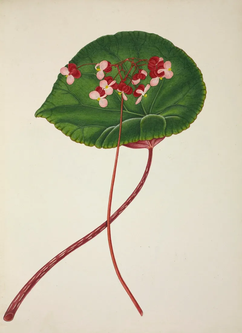 Mon Jardin A Ceylan Pl 255 Wall Art by George De Alwis - High-Resolution Digital Print