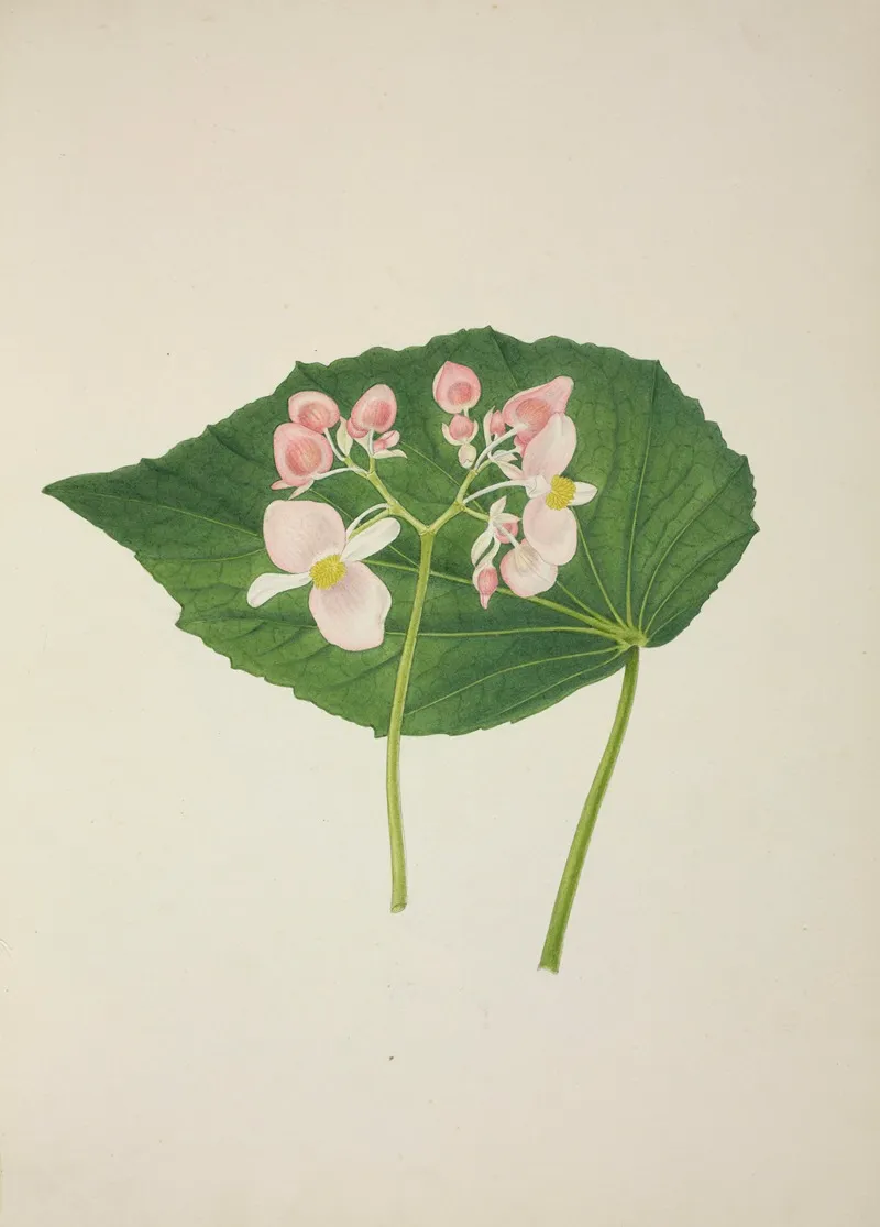 Mon Jardin A Ceylan Pl 256 Wall Art by George De Alwis - High-Resolution Digital Print