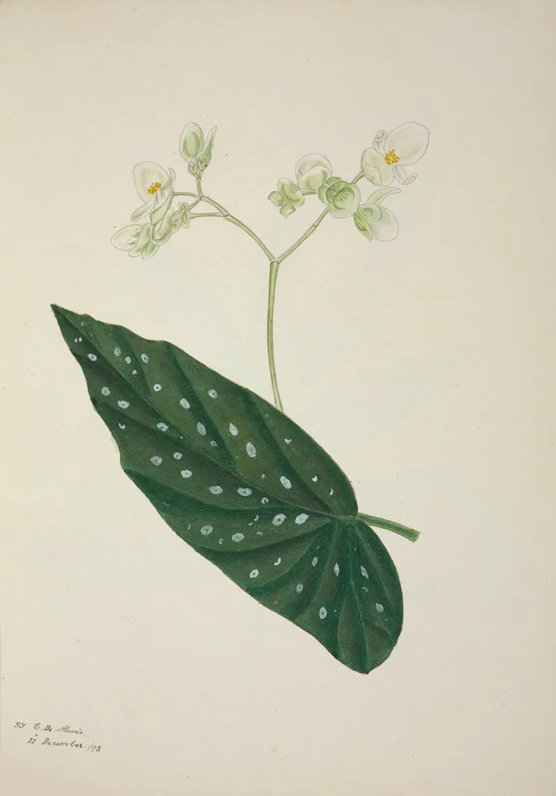 Mon Jardin A Ceylan Pl 257 Wall Art by George De Alwis - High-Resolution Digital Print