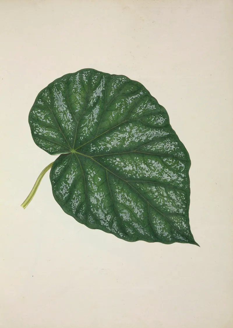 Mon Jardin A Ceylan Pl 261 Wall Art by George De Alwis - High-Resolution Digital Print