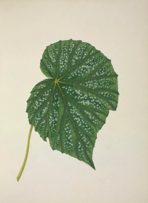 Mon Jardin A Ceylan Pl 262 Wall Art by George De Alwis - High-Resolution Digital Print