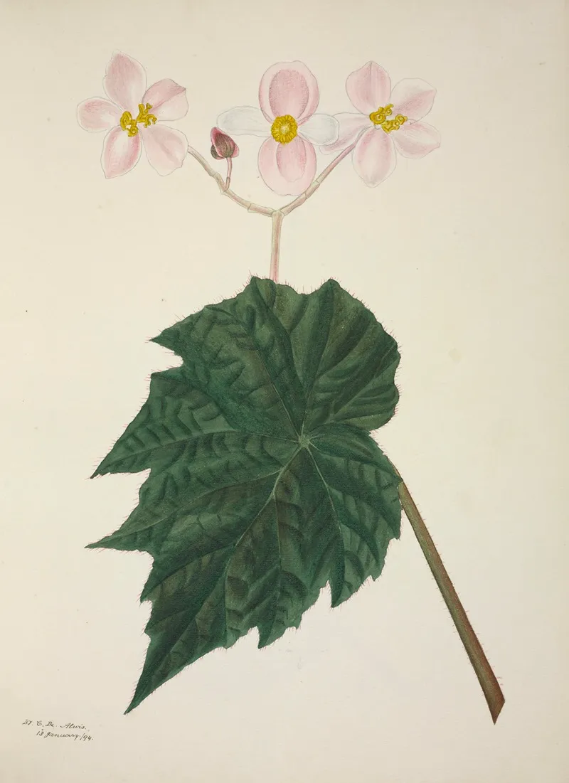 Mon Jardin A Ceylan Pl 265 Wall Art by George De Alwis - High-Resolution Digital Print