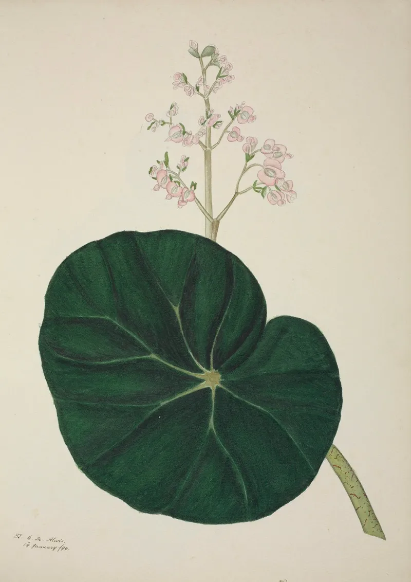 Mon Jardin A Ceylan Pl 269 Wall Art by George De Alwis - High-Resolution Digital Print