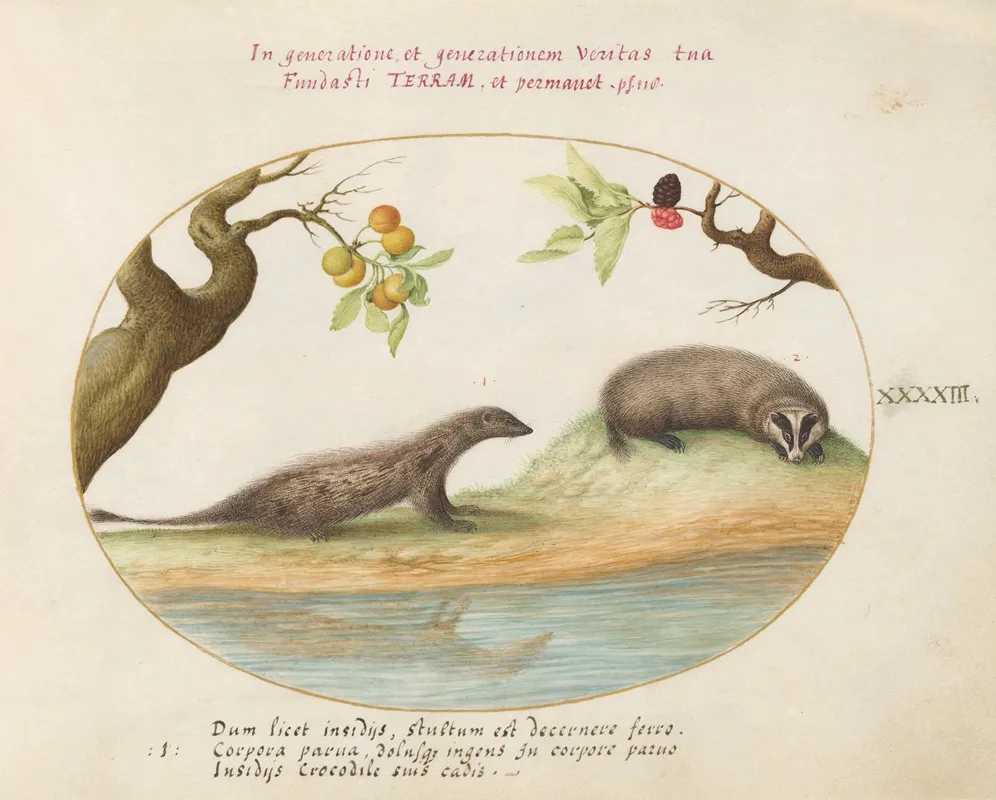 Mongoose And Badger With Fruit Trees