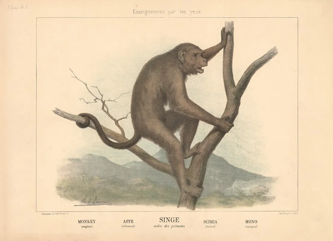Monkey 4