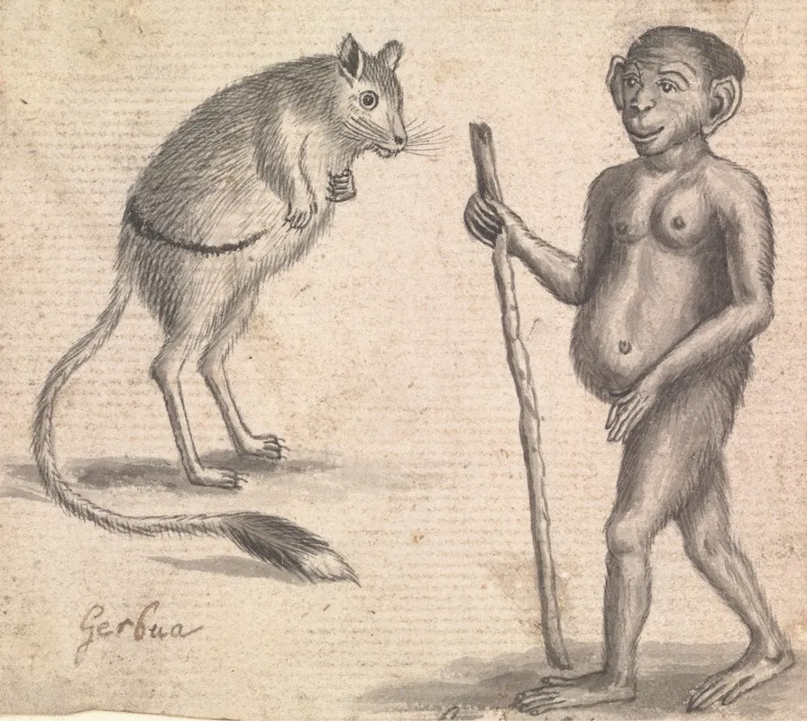 Monkey 7