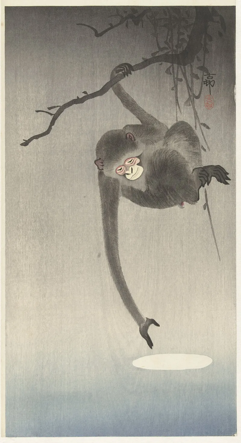Monkey And Reflection Of The Moon