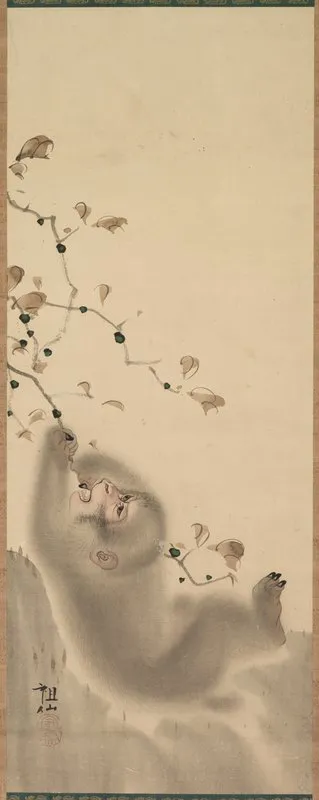 Monkey Hanging On To A Branch