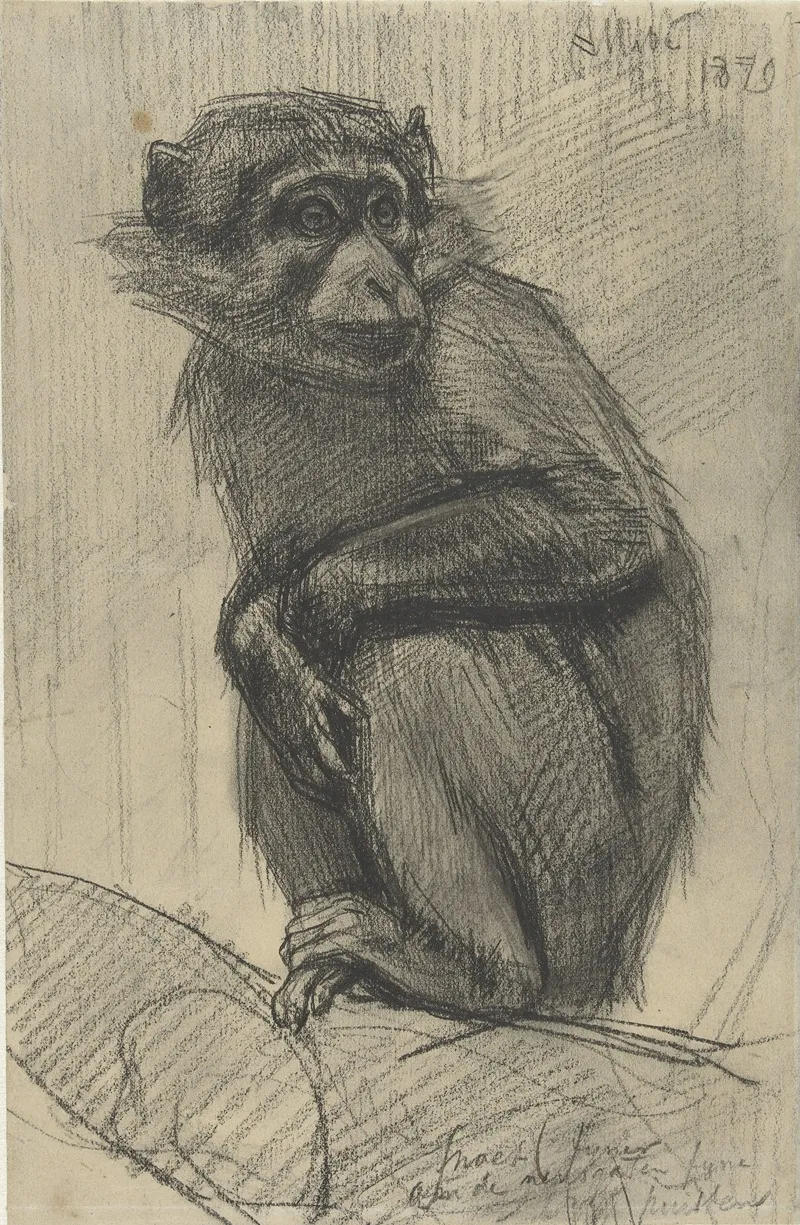 Monkey On A Branch