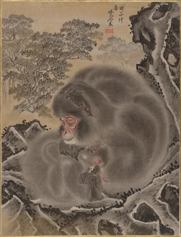 Monkeys 3