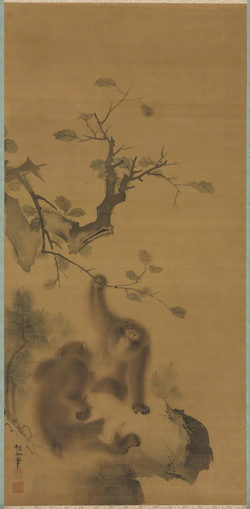Monkeys On A Rock Ledge