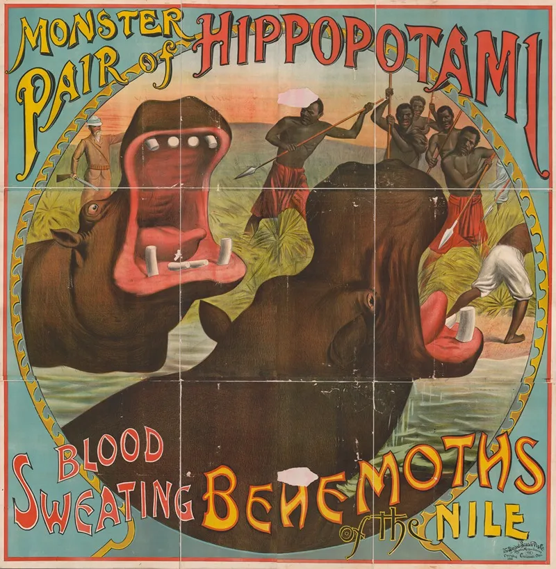 Monster Pair Of Hippopotamuses Blood Sweating Behemoths Of The Nile Wall Art by Russell, Morgan &amp; Co. - High-Resolution Digital Print
