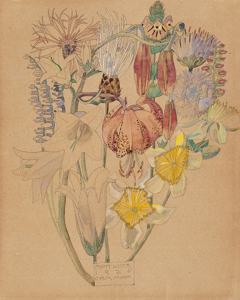 Mont Louis Flower Study Wall Art by Charles Rennie Mackintosh - High-Resolution Digital Print