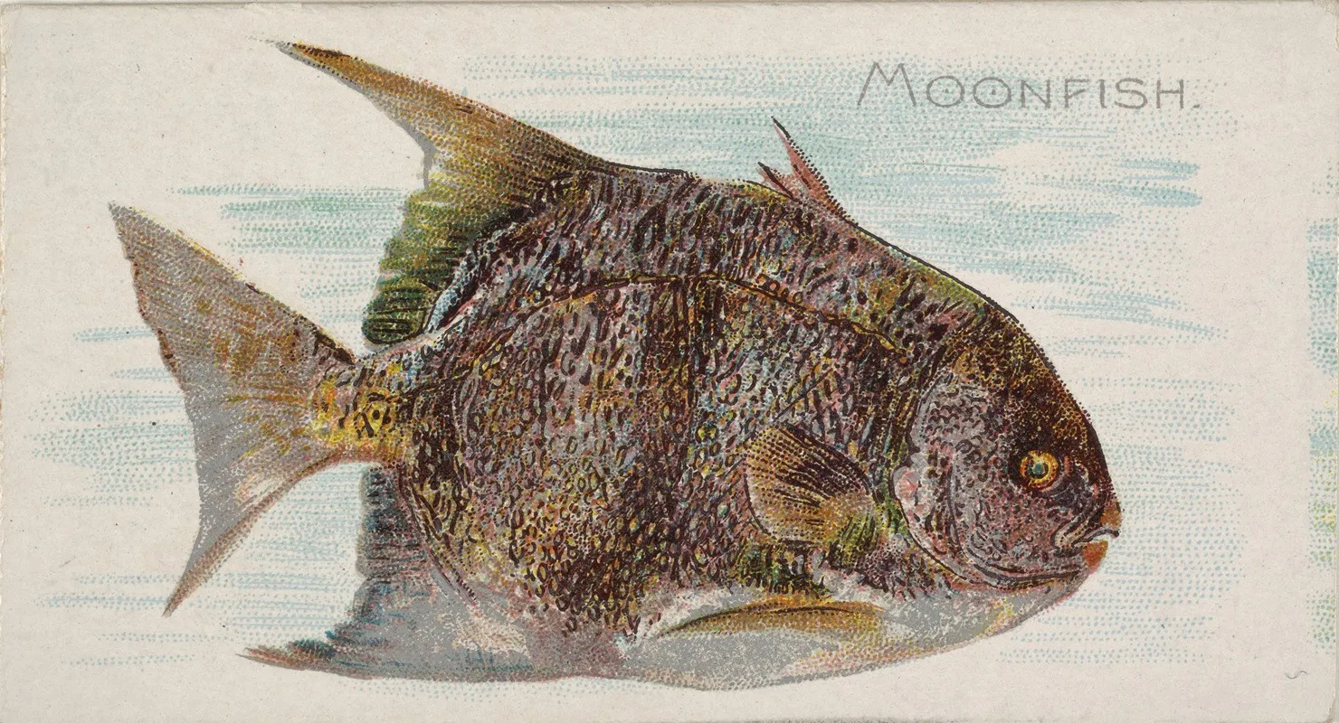 Moonfish Wall Art by Allen &amp; Ginter - High-Resolution Digital Print