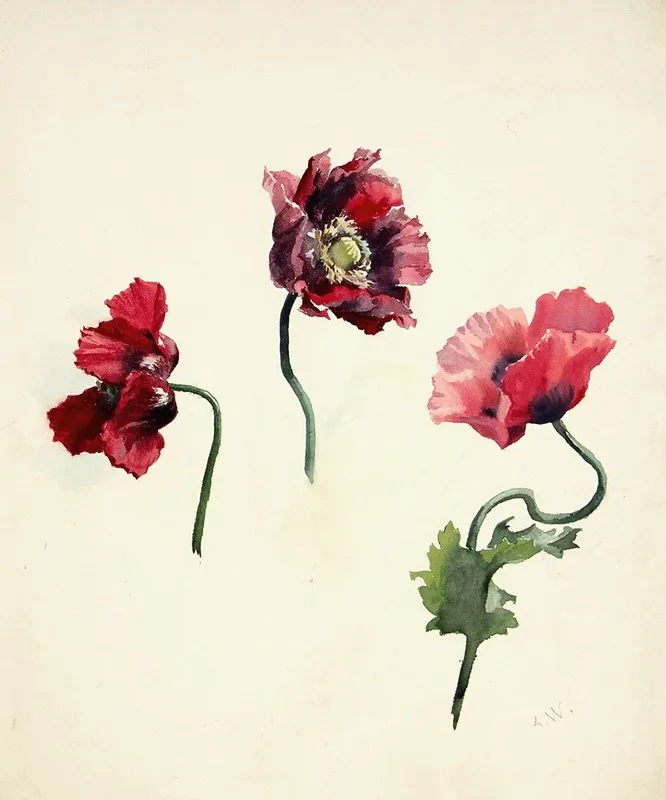 Moonioied