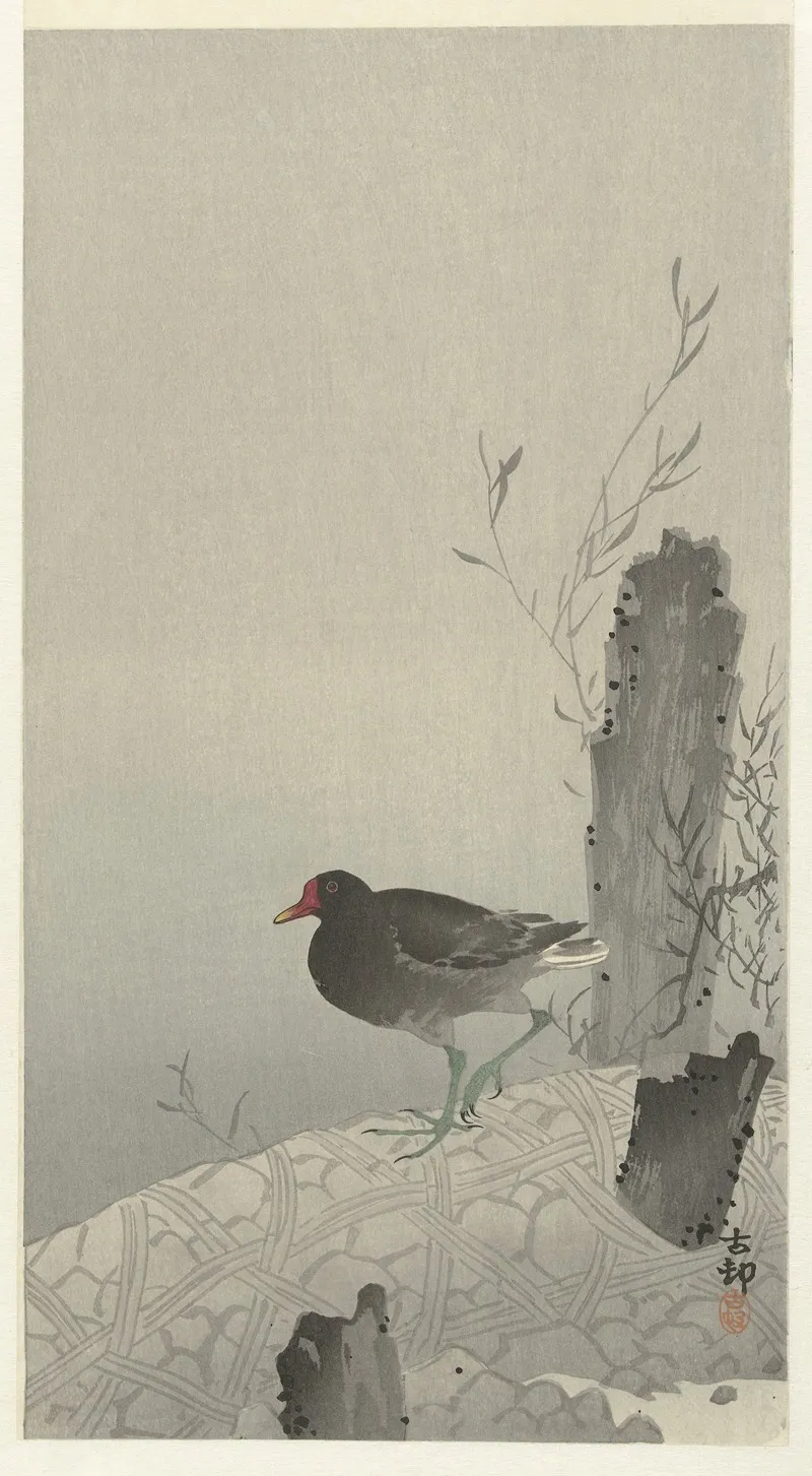 Moorhen 2 Wall Art by Ohara Koson - High-Resolution Digital Print